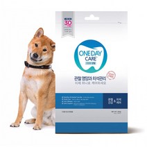 기능성 덴탈껌 건강한관절 30개입(450g) 원데이케어, 상세페이지 참조, 상세페이지 참조, 상세페이지 참조