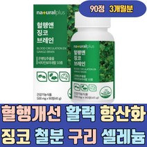 혈행개선 활력 항산화 영양제 징코 철분 구리 셀레늄 비타민B군 B1 B2 B6 나이아신 에좋은음식 좋은음식 개선 높이는 머리 뇌 두뇌 개선제 집중력 70대 수험생 50대 60대