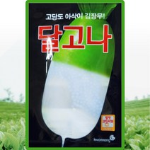 달고나 무 씨앗 김장 무우 씨 달고나 종자 300립, 1개