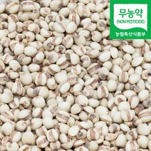 직송 국산 무농약 율무 율무쌀 생율무, 1개, 1kg