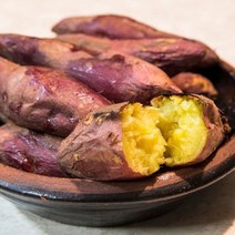 해남 황금꿀고구마 비세척 한입 10kg 호박고구마, 1, 본상품선택