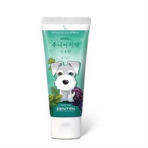 제니튼 주니어 치약 민트향, 28개, 60g