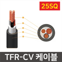 TFR-CV 케이블 전기선 전력선 전선 25SQ 1C 2C 3C 4C, [03] 25sq x 3 CORE