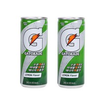 ⓖ 롯데칠성 게토레이 240ml 1박스(30캔) GЯ//SVP 롯데 이온, GЯ 1