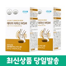 애터미 터마신 MSM 752mgx128정(96.256g), 2개
