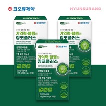 기억력혈행개선 징코플러스 영양제 약 4주분 은행잎추출물 집중력 기억력감퇴 뇌에 좋은 음식, 1박스(무료배송)