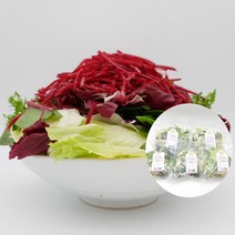 의령농산 건강채소 당일채소 당일제조 당일발송 스윗 믹스 샐러드 1주 5일 구성 랜덤 추가증정 1팩, 스윗믹스샐러드 80g×5팩 추가증정1팩