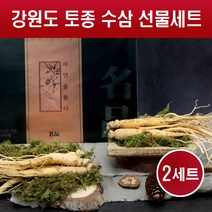수삼 선물세트 자연산 인삼 생삼 강원도 산지직송 생인삼 고려인삼 7-9뿌리 꿀절임 수삼차 주스 쉐이크 담금주 요리용 국내산 설 추석 명절 선물용, 200g X 2세트