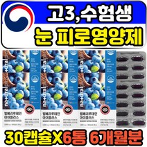 고3 재수생 고등학생 학생 눈피로영양제 빌베리루테인 안구건조증 식물성 천연 제아잔틴 루테인 아스타잔틴 헤마토코쿠스 결명자 BILBERRYLUTEIN 안토시아닌 카로티노이드 영양제