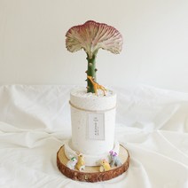 달콤청춘 춘봉철화 수줍은 핑크빛 고급테라조화분 속 꽃선인장, 옵션2.춘봉철화+테라조화분+흰돌+마끈명함
