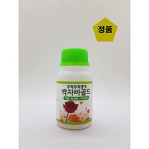 싹자바골드, 싱싱 싹자바
