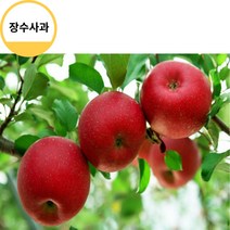 장수사과 고랭지사과 홍로사과5kg 18/23과 사과따기체험 사과다이어트 사과빵 사과잼 사과쥬스, 상세페이지 참조