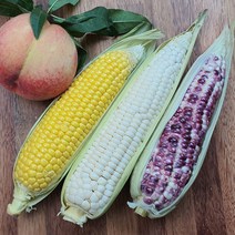 선별품 미백찰옥수수 햇옥수수 선별특가 농부직송, 미백찰옥수수 상품 30개
