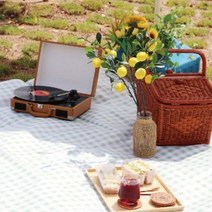 체크무늬 예쁜 방수원단 야외용돗자리 2컬러 피크닉돗자리 캠핑방수돗자리 해변돗자리 야외용매트 여름돗자리 접이식돗자리 피크닉방수매트 타포린돗자리 방수피크닉매트 감성피크닉매트 감성돗자리, 대형(175x200), 엘로우