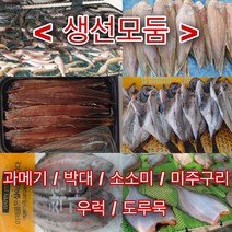 유성일등 반건조 생선 모둠, 1팩, 반건조 물가자미(미주구리) 6~7마리 500g