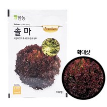 [씨앗맛집] 팜한농 솔마 100립(유럽상추) 유럽종 봄 쌈 잎 상추 야채 채소 씨앗 모종 종자 재배 키우기