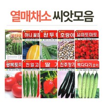 화분월드 열매채소 씨앗, 미니복수박