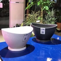 심플 플라스틱 타원 뱅갈고무나무화분 매장입구 pe, 화이트