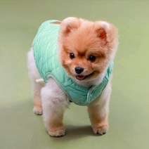 쁘띠도그 강아지패딩조끼, 그린