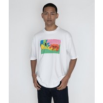 리바이스 재팬 SKATE 그래픽 BOX 티셔츠 PAINTED RHINO 250179
