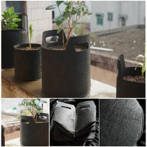 부직포 블루베리 키우기 재배 친환경 그로우백 베란다 텃밭 숨쉬는 오래가는 식물 3개, 3gallon