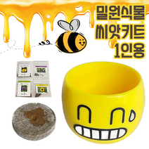 가든아이 밀원식물 씨앗 키트 KIT (밀원식물 씨앗+압축배양토+헤어맨화분) 씨앗키트 식물키우기, 해바라기