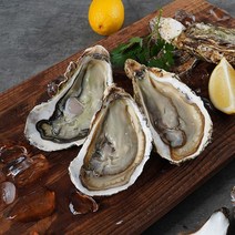 통영 석화 삼배체굴 2kg 6-8미x2, 단품