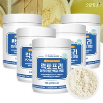 분리유청단백질 소화잘되는 락토프리 분말 240g 유당제거 프로틴 파우더, 5병
