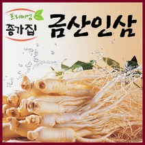 금산인삼 국산 인삼 수삼세척가정용난발파삼, 1팩, 세척주스용인삼300g(6~10뿌리)