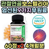 퇴행성 무릎 관절 영양제 보스웰리아 콘드로이친 울금 복합물 식약처인증 보수엘릭산 해조칼슘 NAG 뉴질랜드 초록입홍합 비타민D 40대 50대 60대 70대 할머니 할아버지 홈쇼핑