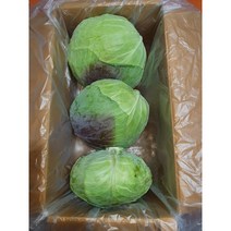 [양배추](6-7kg 2-4입/1Box) 국산 위에좋은 양배추, 6-8kg 국내산 양배추