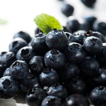 수입산 생 블루베리 125g x12팩, 12개