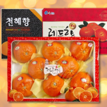 맛집사 제주 고당도 한라봉 천혜향 레드향 황금향 3kg 5kg 설날선물세트 설 선물 세트 추석 명절 선물세트, 레드향 3kg (명품선물용)