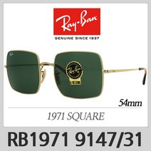 [Ray Ban][정식수입] 레이밴 RB1971 914731 [54] 명품 선글라스