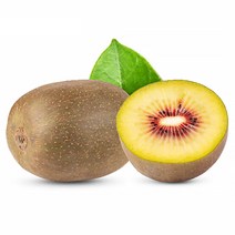 제주 루비 골드키위 중소과, 1개, 2kg