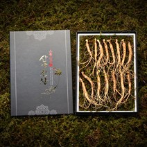 심봤다 삼 산양산삼 산양삼 장뇌삼 선물세트, 3뿌리