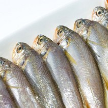 국내산 제주 참조기 1kg(14-17미)