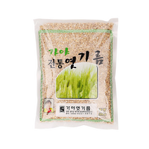 가야 전통 엿기름 500g 전통 엿기름가루, 1봉