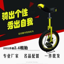16인치 18인치 20인치 외발자전거 성인 아동 자전거, 12인치 사파이어 블루
