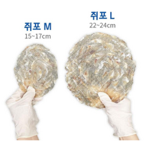 해살이 구운 쥐포 쥐포채 양태채 300g 500g 안주 / 두꺼운 마른 구이, 쥐포(M) 500g