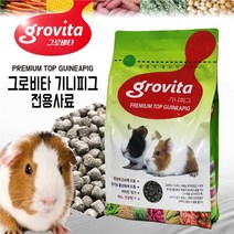 그로비타 프리미엄/기니피그사료(1kg)반려동물용품, 1kg, 1개