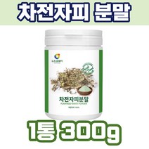100% 차전자피 분말 300g 물과 함께 같이 파우더 쉐이크 성인 여자 남자 직장인 회사원 주부 현대인 아침 점심 저녁 데일리 powder