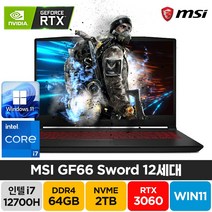 MSI Sword GF66 A12UE 인텔 12세대 i7-12700H RTX3060 윈도우11 노트북, GF66 Sword, WIN11 Pro, 64GB, 2TB, 코어i7, 블랙