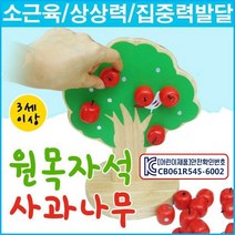 [소담] 원목자석사과나무 [원목교구 목각완구 교육용교구]