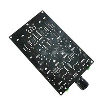 헤드폰 파워 앰프 레퍼런스 버전 Lehmann 클래스 A, 한개옵션0