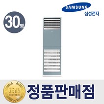 삼성 냉난방기 비스포크 스탠드 30평형 블루 AP110RSPPHH7SS 특급설치