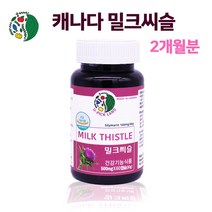 캐나다산 실리마린 밀크씨슬 추출물 분말 가루 파우더 캡슐 식약청인증 고함량 밀크시슬 엉겅퀴 효능 간 건강에 도움 간보호제 여성 남성 학생 직장인 피로 피곤할때 영양제 추천, 1, 육십캅셀