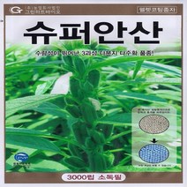 슈퍼안산참깨 씨앗-가지깨(3 000립)