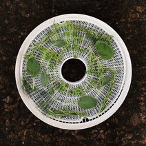 230219 쿠팡 식품건조기 가정용 Nesco LM-2-6 둥근 실리콘 nackmaster, 한개옵션0