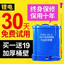 농약 분무기 다기능 충전식 리튬 배터리 전기 분무기 과일 나무 배낭 살포 살충제 살포 고압 소독 기계, / 리튬 배터리 첨부 18 L 핸들 스위치 (3 스위치)개